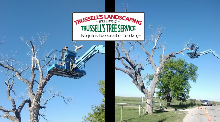 Trussell's Landscaping and Tree Service has been offering over 15 years of customer service / trussellslandscaping.com