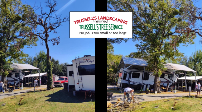 RV Park Tree Service