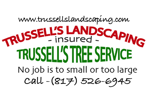 Trussels Tree Blog