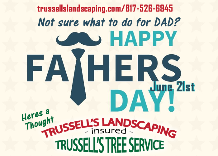Tree Service and Landscaping, Trussells Tree Service