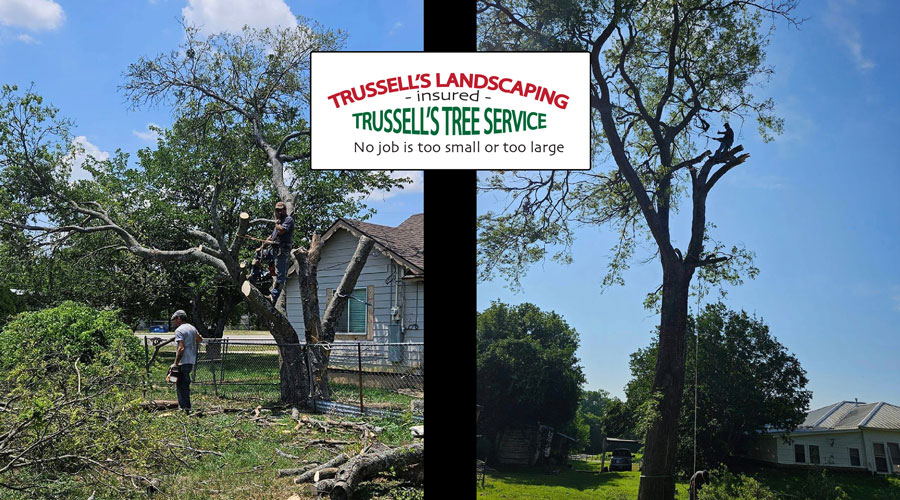 Trussell's Landscaping and Tree Service